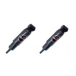 Amortecedor Traseiro Eurovan 1997/... (PAR)