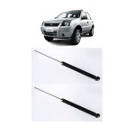 Amortecedor Traseiro Ecosport 2003/... (PAR)