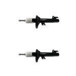 Amortecedor Fiesta 1994/1995 (PAR)