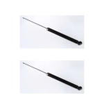 Amortecedor Traseiro Ecosport 2003/... (PAR)