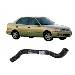 Mangueira Inferior do Radiador do Accent 02/06